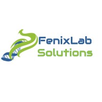 FenixLab Solutions logo - Similar company to Beezer Technologies Gmbh