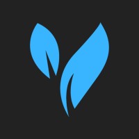 BlueVine Digital Marketing Solutions logo - Similar company to Ccs Interactive