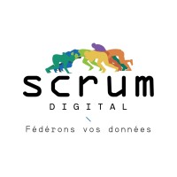 Scrum-Digital logo - Similar company to Data Story