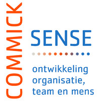 Commick Sense logo - Similar company to Mindburo
