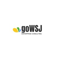 Wsj Consulting, Llc