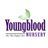 Youngblood Nursery Inc logo - Similar company to Northwest Transplants