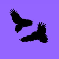 RAVEZ Social Club logo - Similar company to Stacks Industries