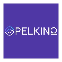 Pelkino logo - Similar company to Artigaming