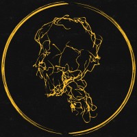 Folk Boy Records logo - Similar company to Chainmosaic