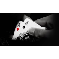 Professional Poker Player logo - Similar company to Snow Emotion