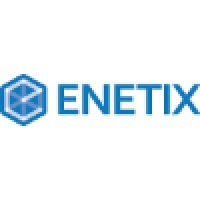 Enetix Software logo - Similar company to Primal Skill