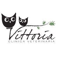 CLINICA VETERINARIA VITTORIA Srl-Stp logo - Similar company to Slais Srl