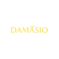 DAMÁSIO TOLEDO PR logo - Similar company to Proluvas