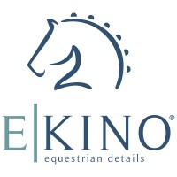 E-Kino logo - Similar company to Rovadik Global