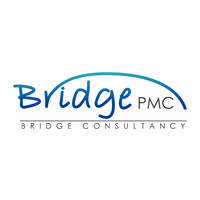 Bridge PMC logo - Similar company to Engineers Without Borders Lebanon