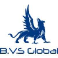 BVS Global FZ LLC logo - Similar company to Bvs Global