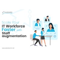 Workforce Wizard logo - Similar company to Analysia Data Research