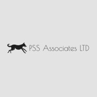 PSS Associates LTD logo - Similar company to Money Bugs
