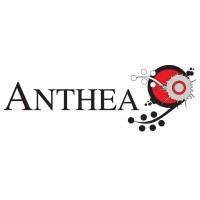 Anthea Art Investments AG logo - Similar company to Usa Financial