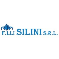 F.lli Silini s.r.l. logo - Similar company to F.Lli Pitardi S.R.L.