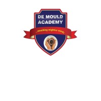 DE MOULD ACADEMY, NIGERIA logo - Similar company to Mindflux Academy