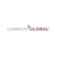 Luminous Global Tech logo - Similar company to Boost Analytics