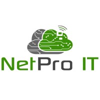 NetPro IT logo - Similar company to Devhub