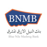 Blue Nile Mashreg Bank logo - Similar company to Bushrapay
