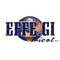 Effe.Gi Tricot sas logo - Similar company to Flanella