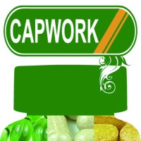 Capwork Laboratory Inc. logo - Similar company to Commutron Industries Ltd.