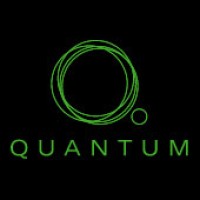 Quantum Global Search Ltd logo - Similar company to Harrison Bridge