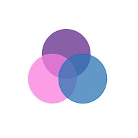 Ck Professional Services Inc.