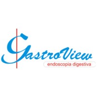Gastroview Atendimento Médico logo - Similar company to Círculo Laranja