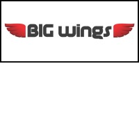 Big Wings LLC logo - Similar company to Big Wings Technologies