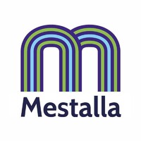 mSoluciona Mestalla logo - Similar company to Msoluciona Valencia