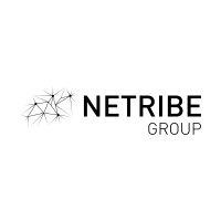 Netribe Srl