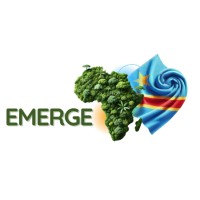 EMERGE VENTURE STUDIO logo - Similar company to Cipres : Conférence Interafricaine De La Prévoyance Sociale
