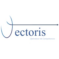 Vectoris logo - Similar company to Vectoris Sl