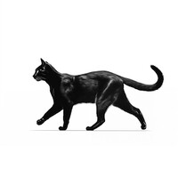 dejavu logo - Similar company to Layar