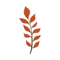 Daily Kitchen logo - Similar company to Castle'S Barbeque