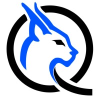Qarakal Quantum logo - Similar company to Greenbow Tech