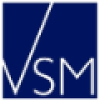 Vsm Consulting