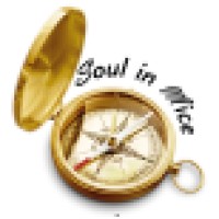 Soul In Mice logo - Similar company to Guardei No Armário
