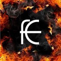 Gruppo Editoriale Fanucci logo - Similar company to Gradesaver Llc