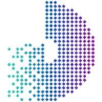 Digiruptor logo - Similar company to Elevate.Strategy