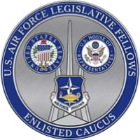 SECAF Enlisted Legislative Fellowship Program logo - Similar company to Department Of Af Fellows Program