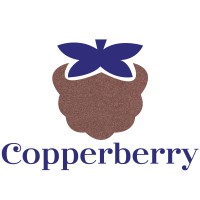 Copperberry Creative Media logo - Similar company to My Creative Experience