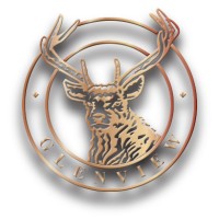 Glenview Hotel Wicklow logo - Similar company to Glenview Hotel