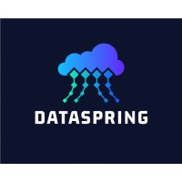 DataSpring logo - Similar company to Data Spring