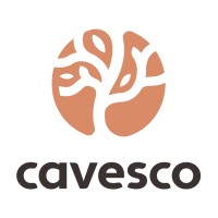 Cavesco logo - Similar company to Changevision