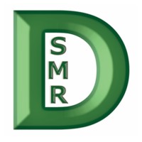 DSMR Group Pte Ltd logo - Similar company to Role Vision Sdn. Bhd