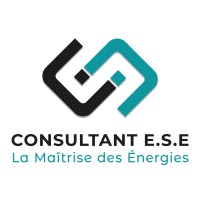 Consultant ESE logo - Similar company to Aegilim