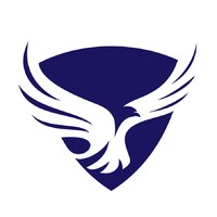 Drake Financial Group logo - Similar company to Hollard Group Risk