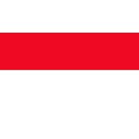 NKRI logo - Similar company to Nkri Youth